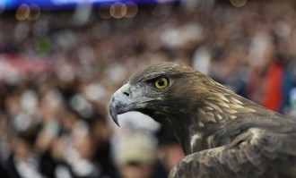 德甲彩经：法兰克福反客为主 圣保利主场拿分的精彩对决